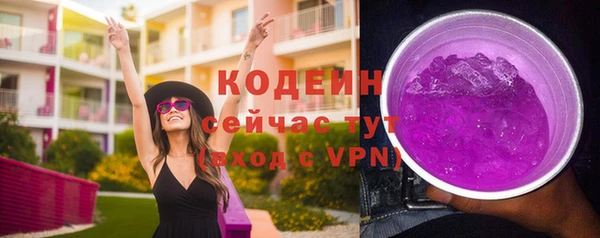 трава Новозыбков